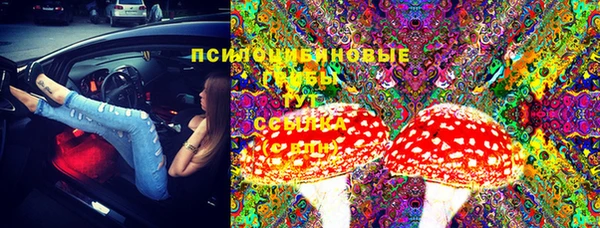 хмурый Горняк